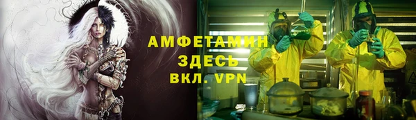 прущие грибы Снежногорск