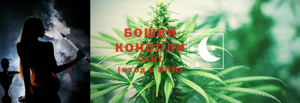 прущие грибы Снежногорск