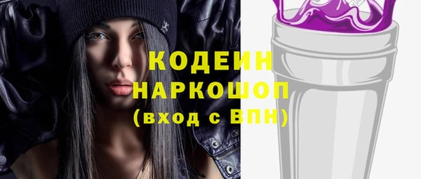 прущие грибы Снежногорск