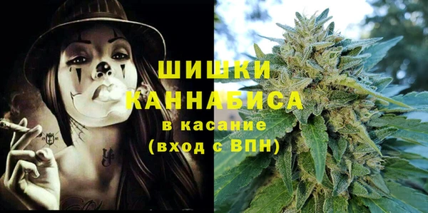 прущие грибы Снежногорск