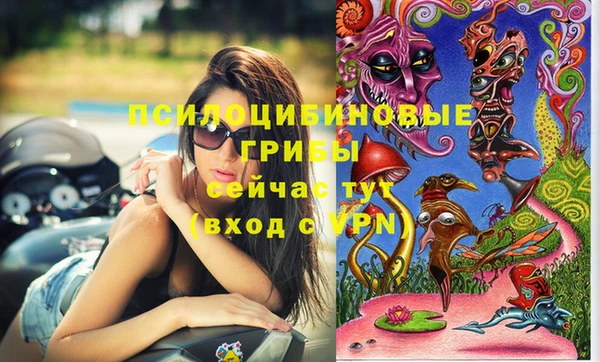 не бодяженный Снежинск