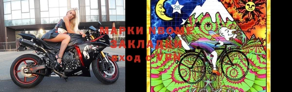 прущие грибы Снежногорск