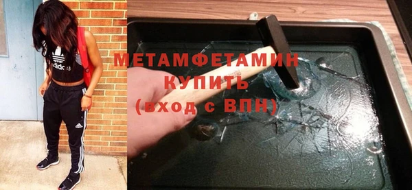 прущие грибы Снежногорск