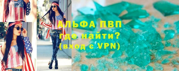 прущие грибы Снежногорск