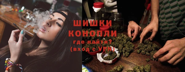 прущие грибы Снежногорск